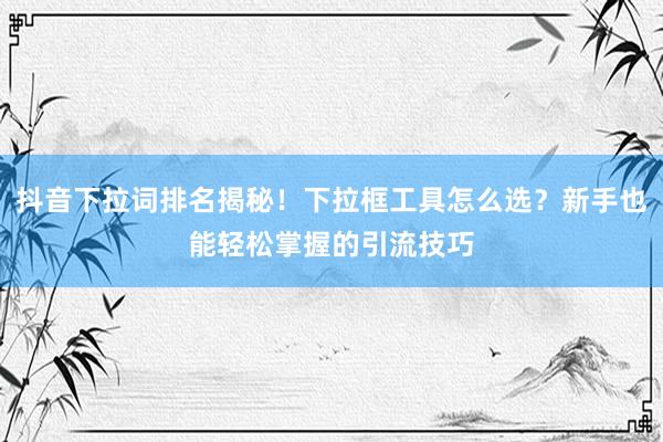 抖音下拉词排名揭秘！下拉框工具怎么选？新手也能轻松掌握的引流技巧