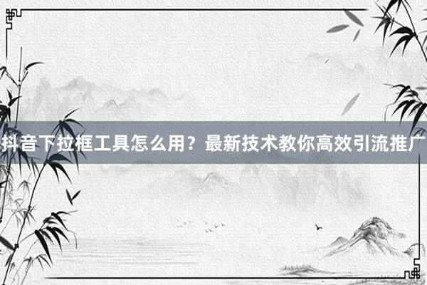 抖音下拉框工具怎么用？最新技术教你高效引流推广
