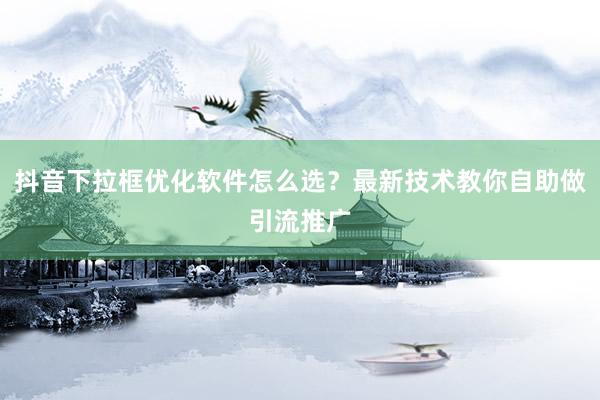 抖音下拉框优化软件怎么选？最新技术教你自助做引流推广