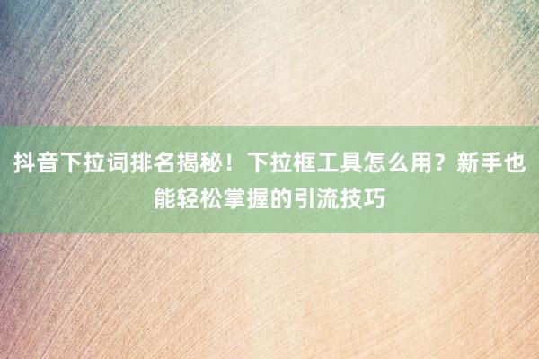 抖音下拉词排名揭秘！下拉框工具怎么用？新手也能轻松掌握的引流技巧