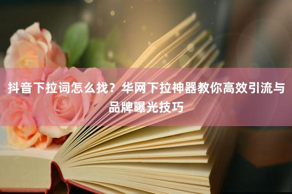 抖音下拉词怎么找？华网下拉神器教你高效引流与品牌曝光技巧