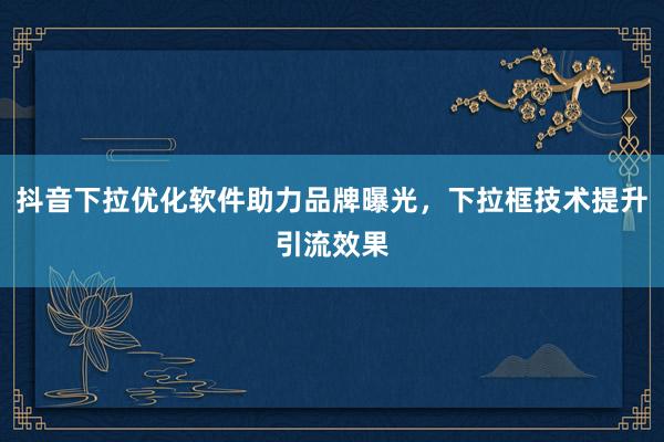 抖音下拉优化软件助力品牌曝光，下拉框技术提升引流效果