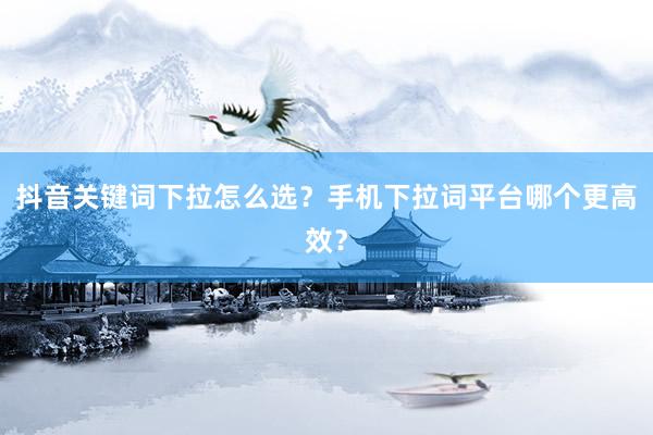 抖音关键词下拉怎么选？手机下拉词平台哪个更高效？