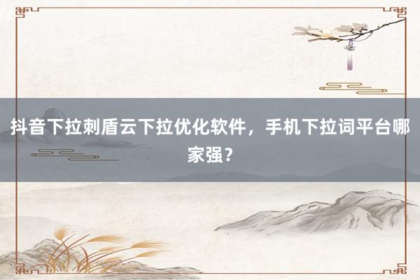 抖音下拉刺盾云下拉优化软件，手机下拉词平台哪家强？