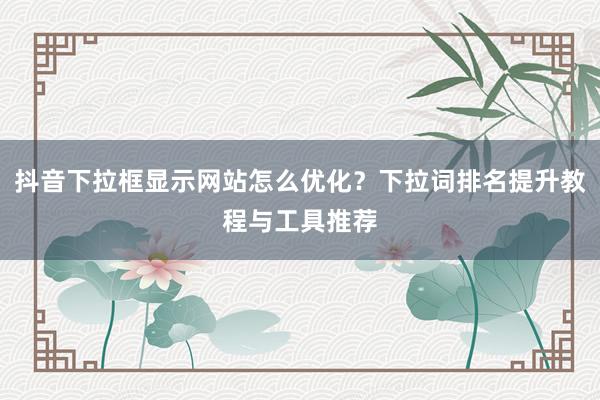 抖音下拉框显示网站怎么优化？下拉词排名提升教程与工具推荐